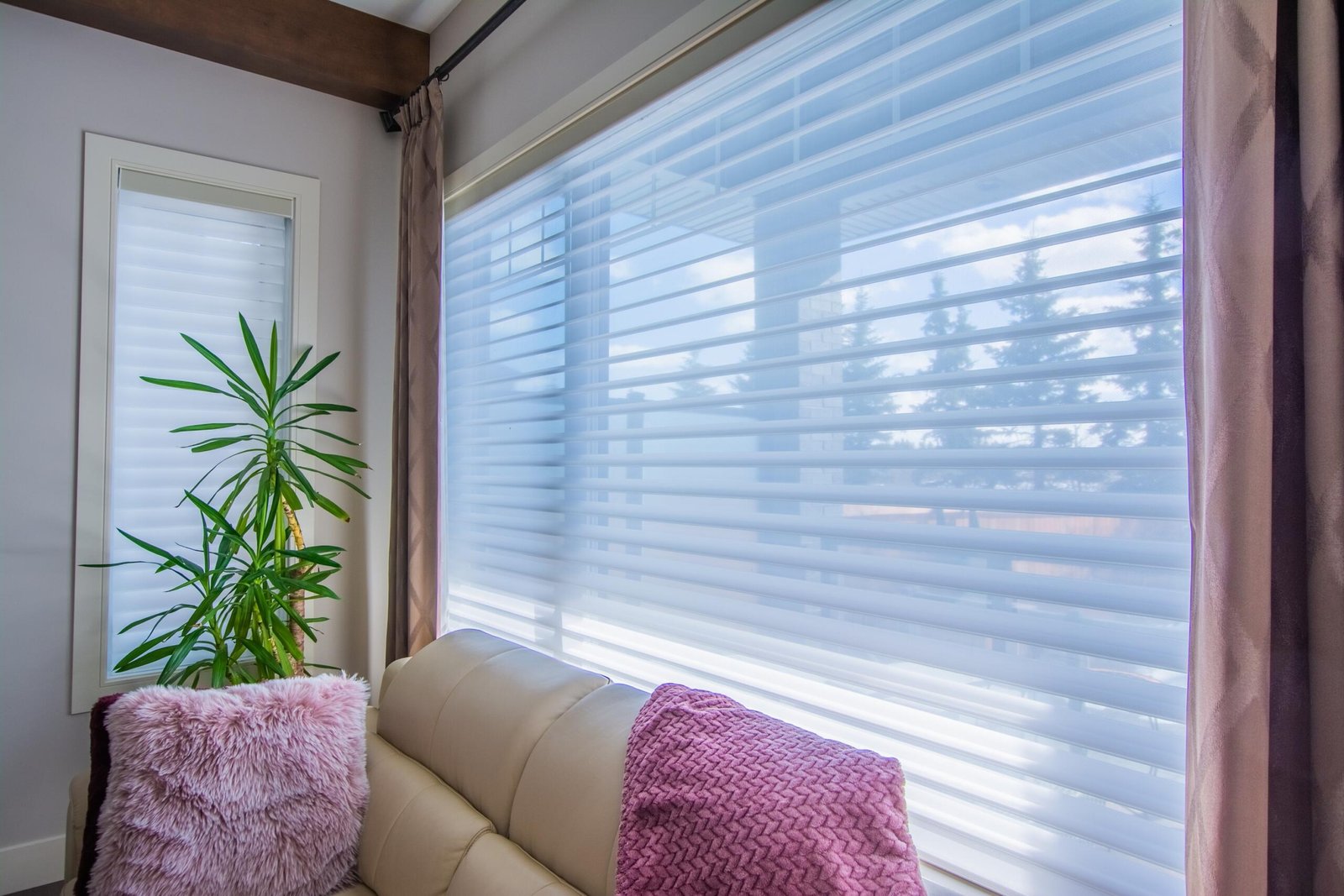 Shangrilla Blinds Collection